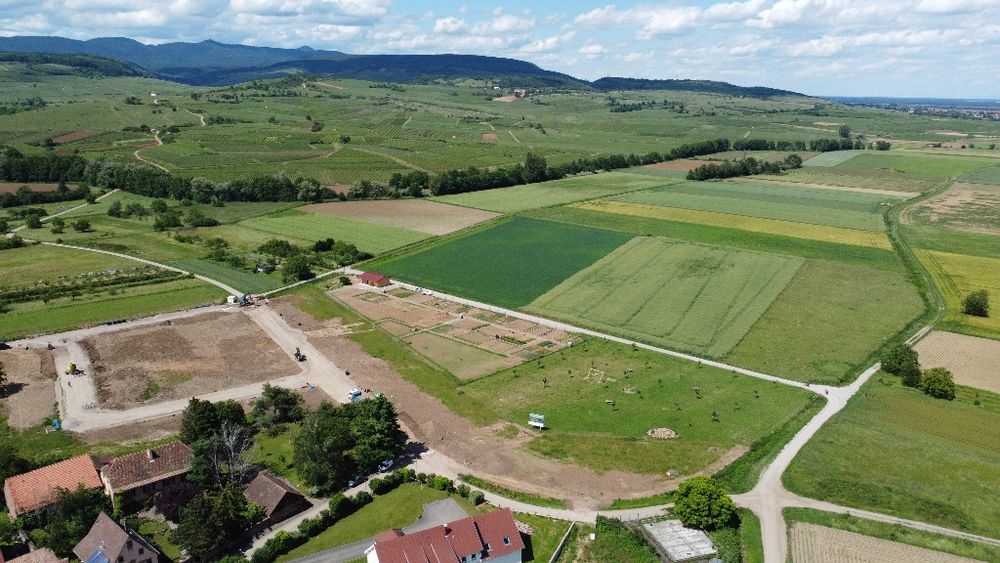 Terrains  batir   Bergholtz (68500)