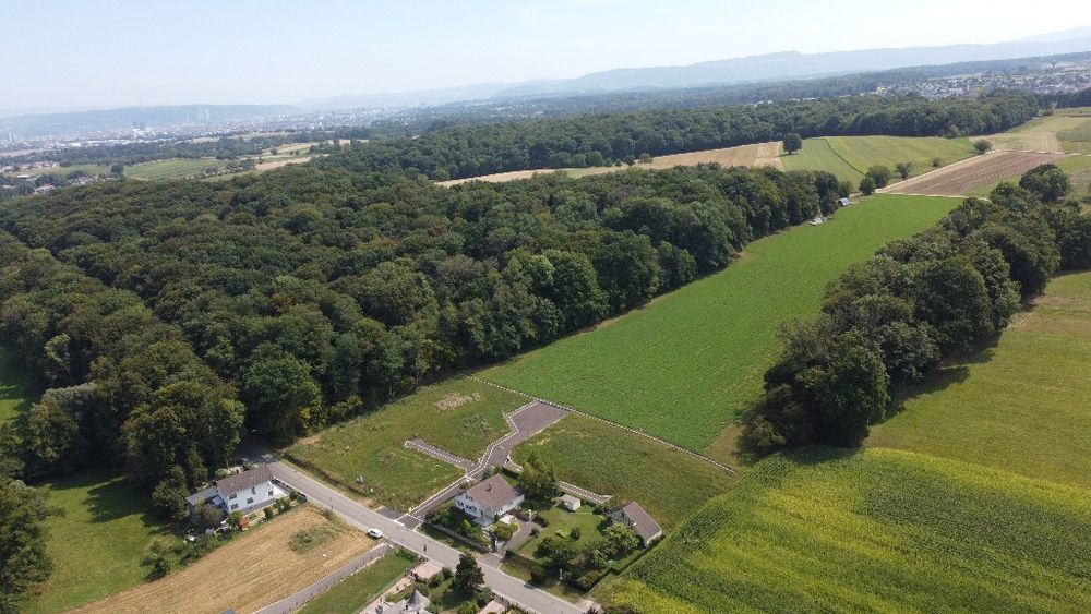 Terrains � batir   Wentzwiller (68220)