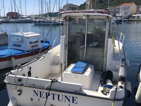 Bateaux &agrave; moteur P&ecirc;che-promenade 2000 occasion Rogliano 20247