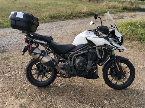 Moto TRIUMPH 2016 occasion Saint-Lys 31470