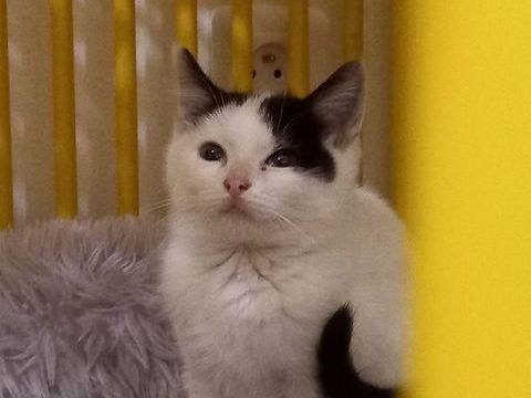 ZAG 180 27400 Amfreville-sur-iton