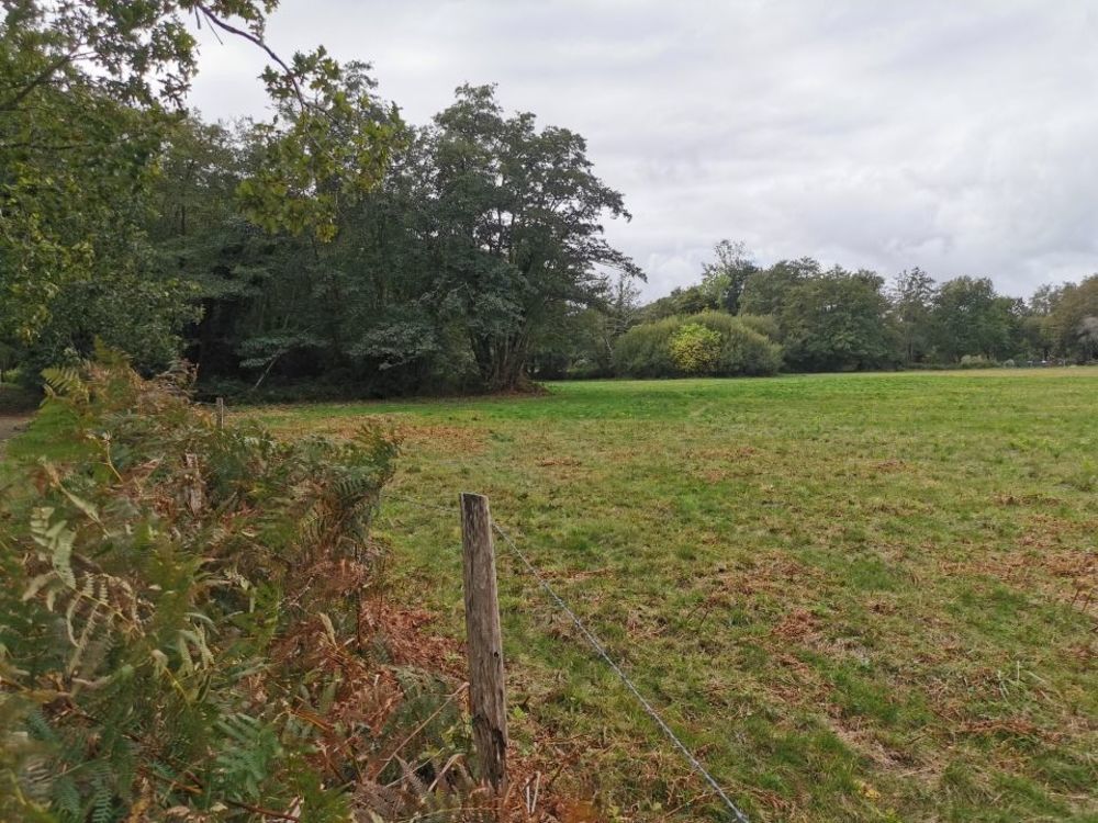 Maisons neuves   Le Temple (33680)