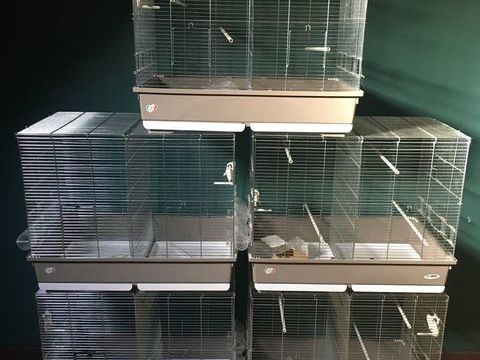 Cage &eacute;levage 50 60310 Amy