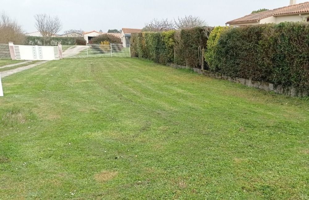 Maisons neuves   Meschers-sur-Gironde (17132)