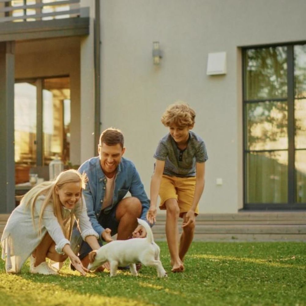 Maisons neuves   Castelnau-le-Lez (34170)