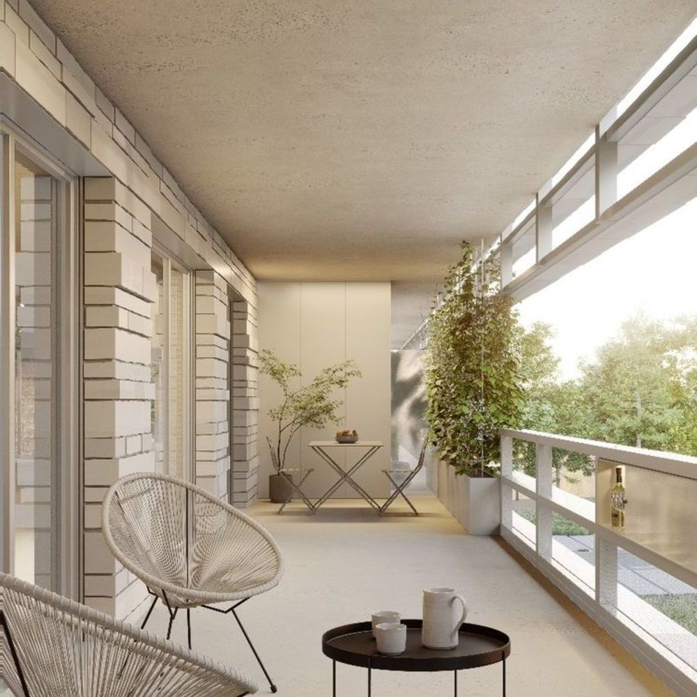 Appartements neufs   Montpellier (34000)