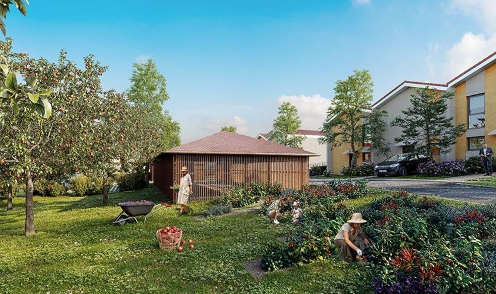 Appartements neufs   Sourcieux-les-Mines (69210)