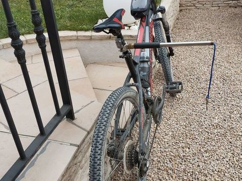 Laisse pour chien sur vélo 30 69730 Genay