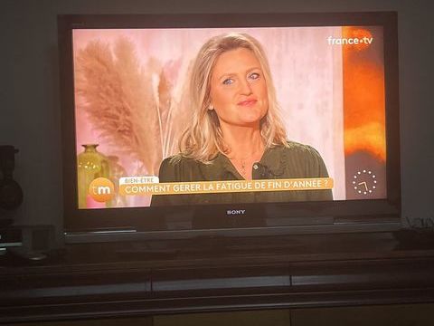 B
Vends TV Sony Bravia LCD 55   70 Buis-les-Baronnies (26)