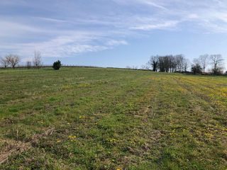  Terrain à vendre 