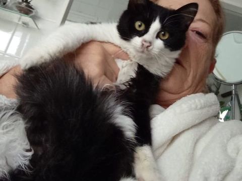 FELISA 230 27620 Gasny