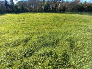  Terrain � vendre 500 m�