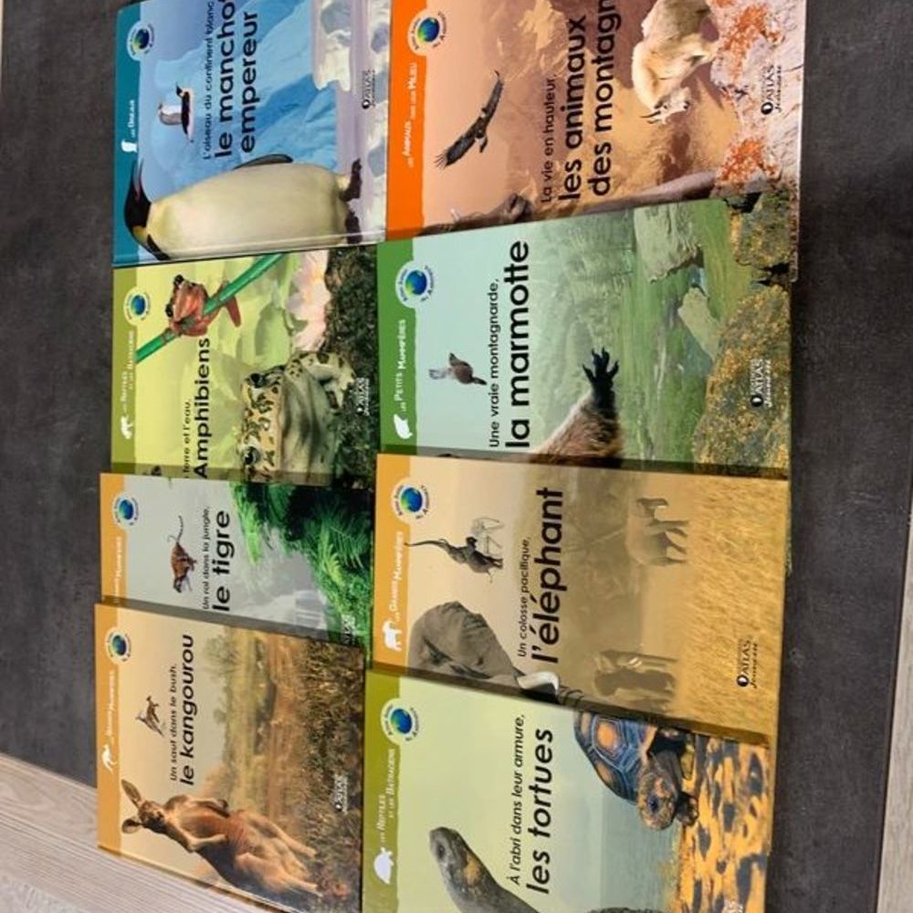 Atlas junior Livres et BD