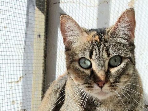 MAIA 230 27620 Gasny