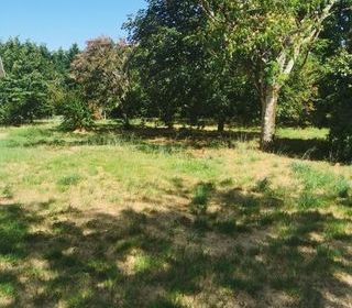  Terrain à vendre 