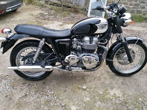 Moto TRIUMPH 2004 occasion Saint-Amant-Roche-Savine 63890