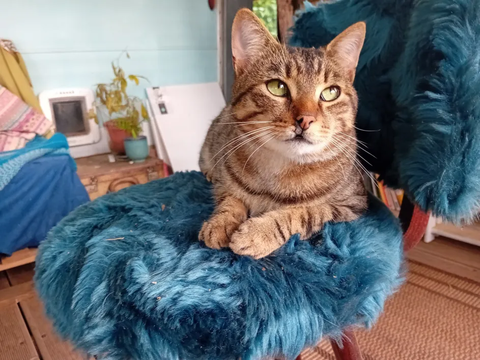 Vroom 190 44000 Nantes