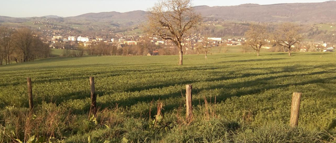 Agence LAFORET ALBANAIS IMMOBILIER  Rumilly