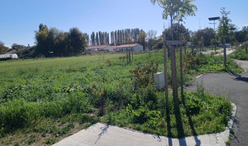 Maisons neuves   Saint-Laurent-M�doc (33112)