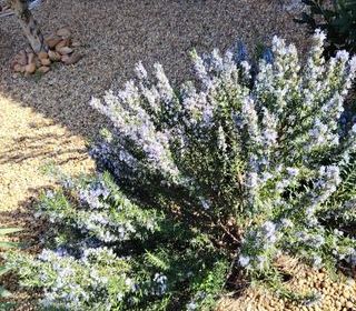  Maison � vendre 4 pi�ces 92 m�