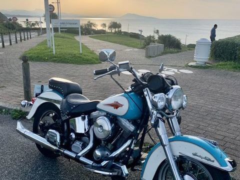 Moto HARLEY-DAVIDSON 1987 occasion Cambo-les-Bains 64250