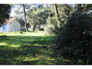  Terrain � vendre 990 m�