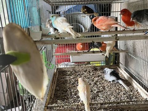 Canaris 30 78770 Marcq