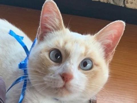 FREYA 230 27620 Gasny