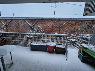  Appartement � vendre 3 pi�ces 65 m�