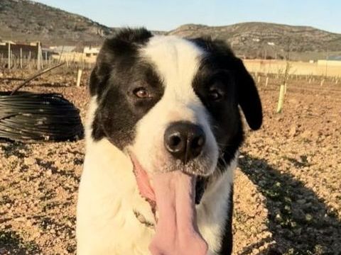 BLUE 320 27620 Gasny