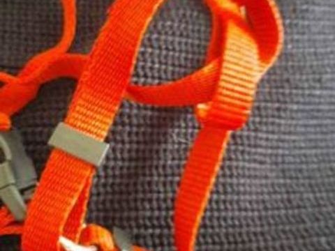 Harnais rouge 4 14170 Saint-pierre-sur-dives