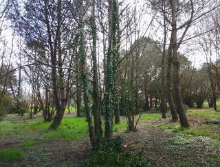  Terrain � vendre 3000 m�