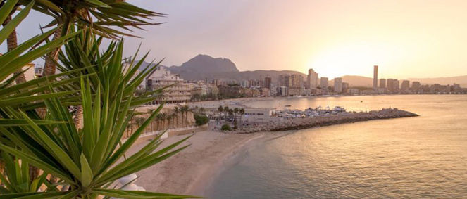 Agence 1REAL ESTATE Alicante