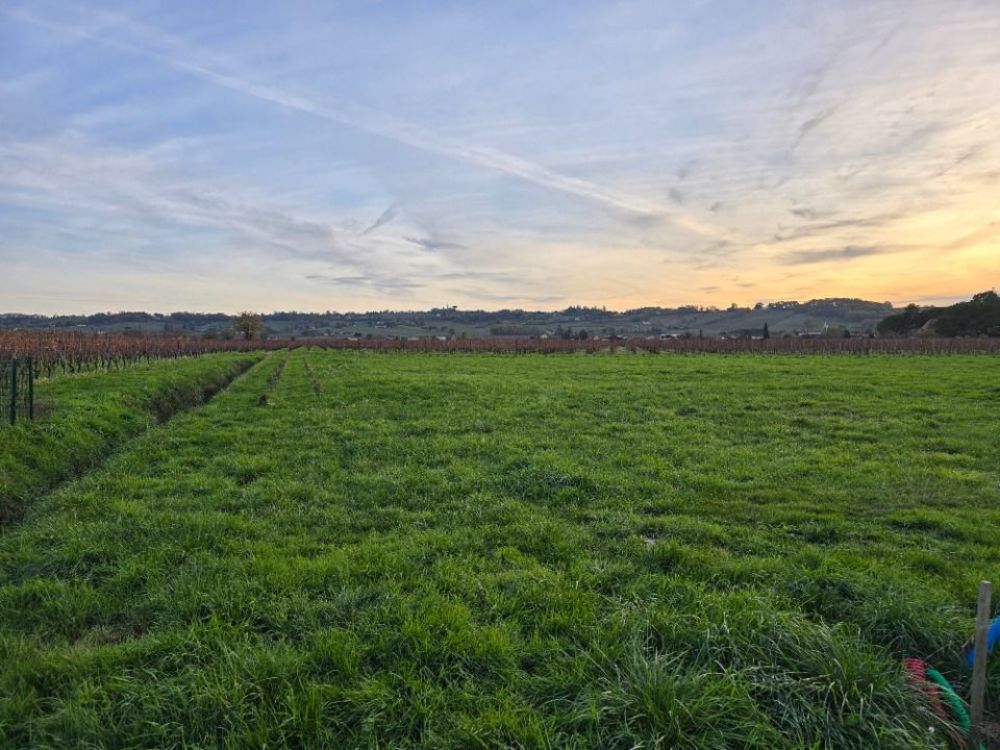 Terrains � batir   Saint-Laurent-des-Vignes (24100)