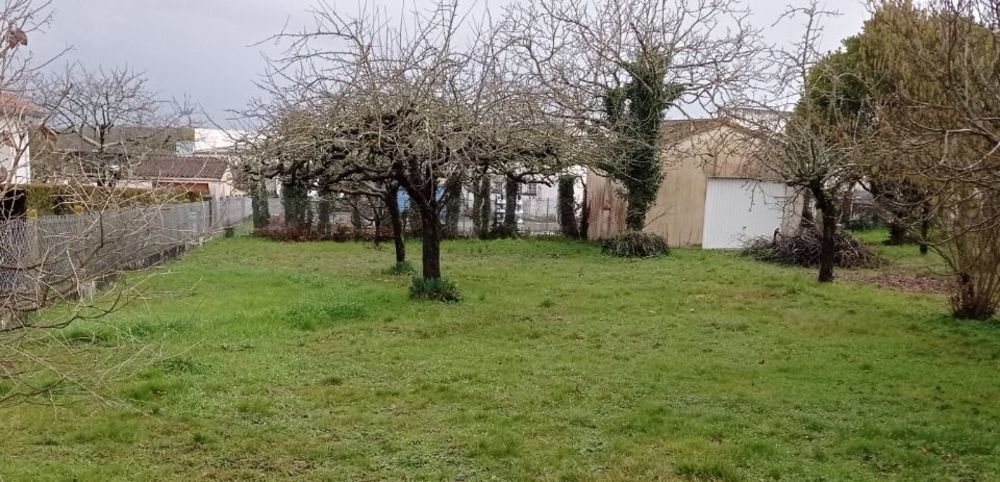 Maisons neuves   Semussac (17120)