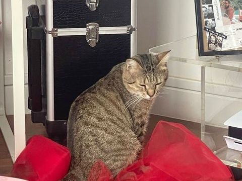 JULIEN 240 92400 Courbevoie