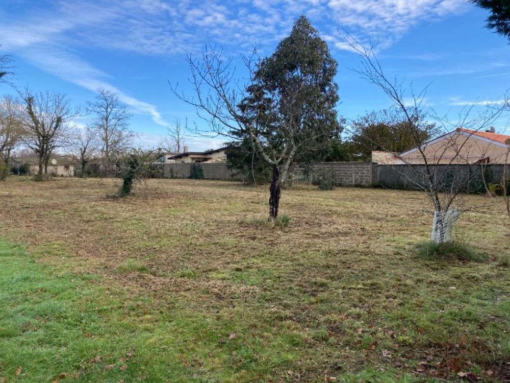 Maisons neuves   Saint-Vivien-de-Mdoc (33590)
