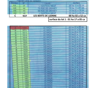  Terrain � vendre 43559 m� Izon