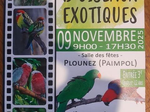 Venez nombreux expo boursse ouvert a tous 3 22140 Cavan