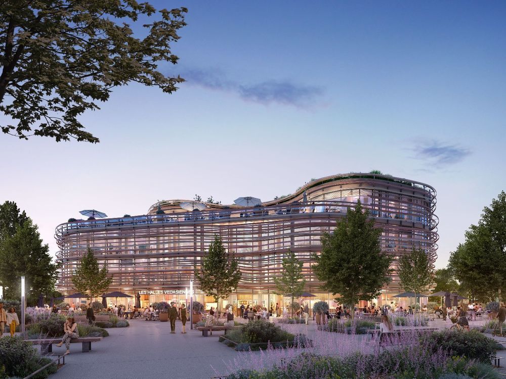 Appartements neufs   Saint-Jean-de-V�das (34430)