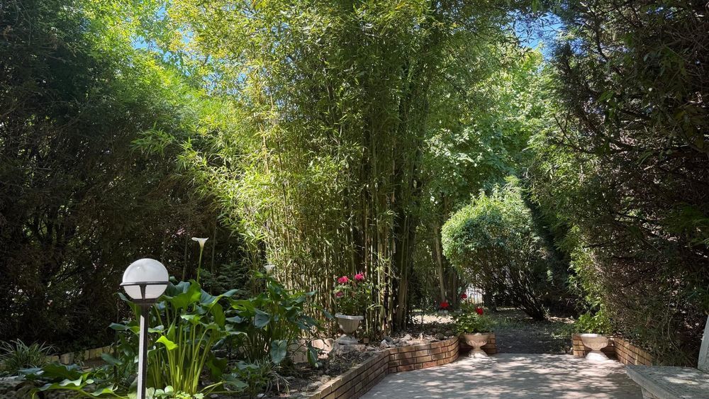 Vente Maison BIEN ARCHITECTE 265 m2.Sous sol 100 m2(Hsp3m),Jardin 669m2, Noisy-le-sec