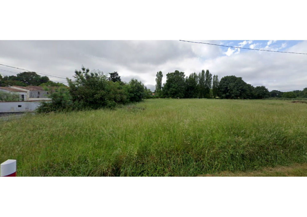 Maisons neuves   La Clisse (17600)