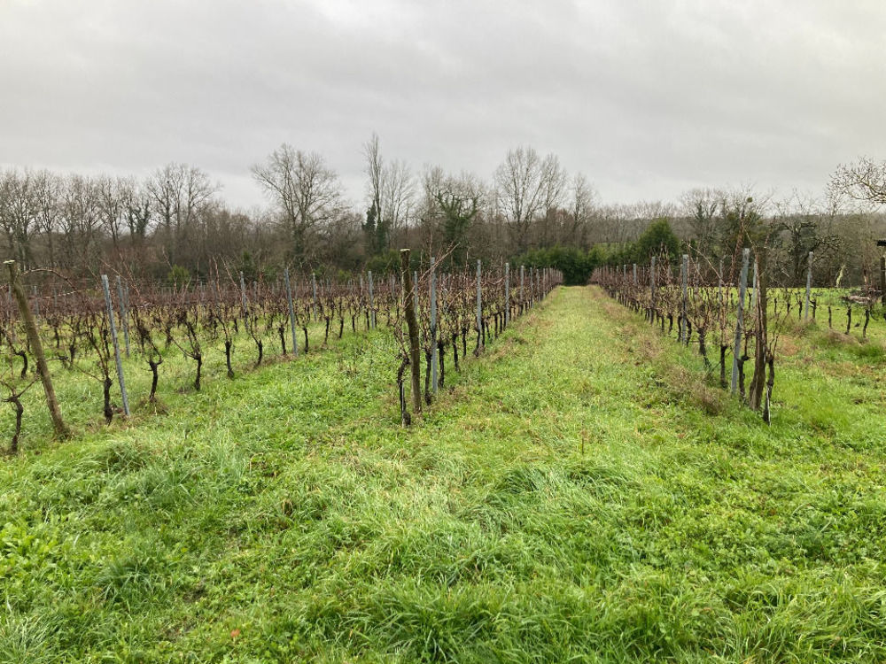 Maisons neuves   Pineuilh (33220)