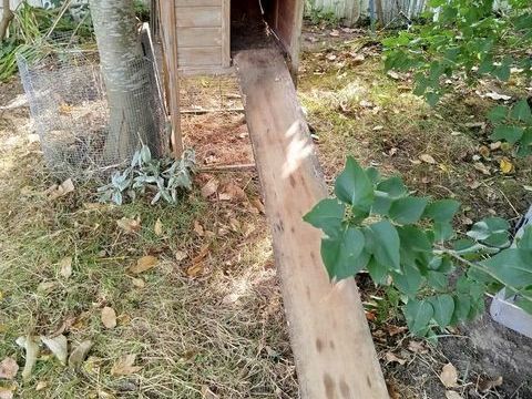 2 abris / pondoir pour poules 20 62138 Haisnes