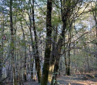  Terrain � vendre 4480 m�