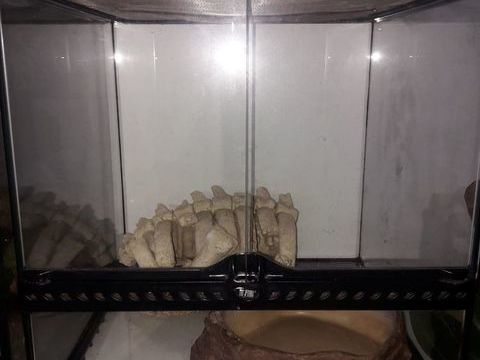 Terrarium exoterra 45*45*45 50 42000 Saint-�tienne