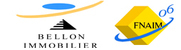 BELLON IMMOBILIER