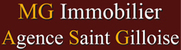 MG IMMOBILIER