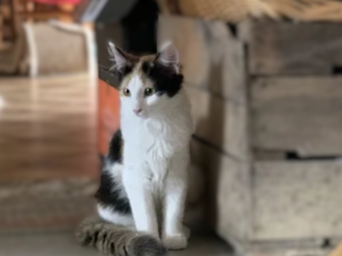 Poppy 100 44000 Nantes