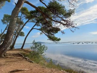 Location  Appartement 